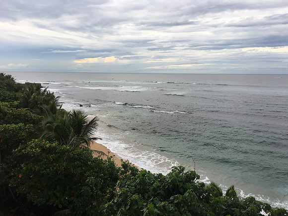 IMG_3323
