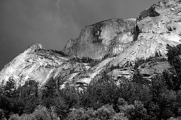 PBR_7878B&W