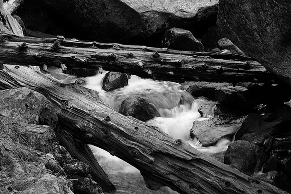 PBR_7962B&W