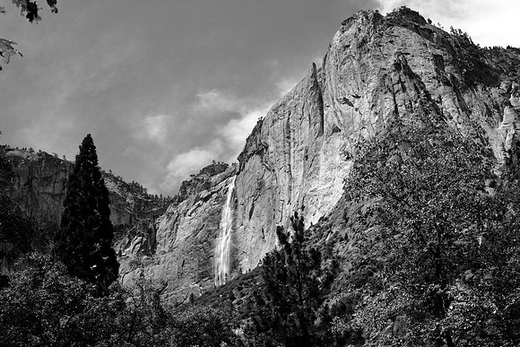PBR_7831B&W