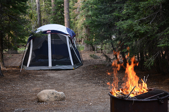 PBR_7483