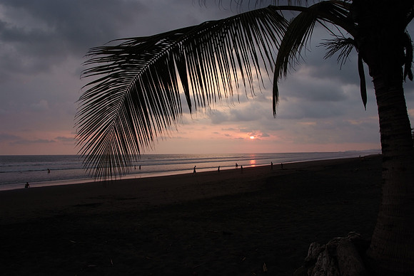 DSCF0938