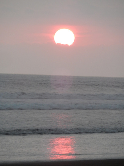 DSCN0490