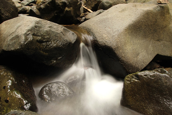 DSCF0937